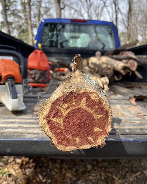 Interesting Finds (16 pics)