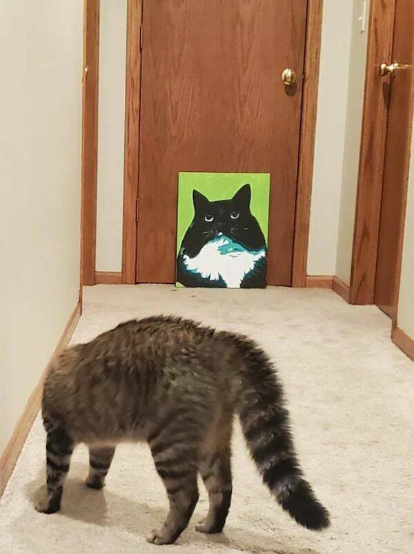 Funny Cats (28 pics)