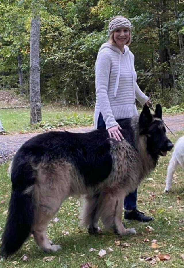 Really Giant Things (22 pics)