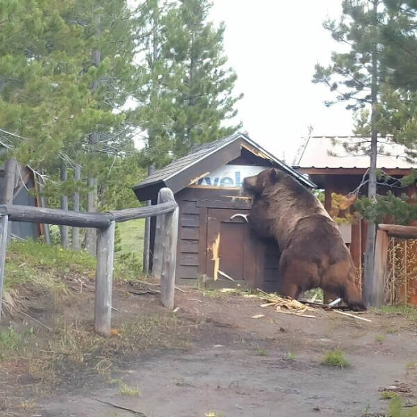 Really Giant Things (22 pics) Really Giant Things (22 pics)