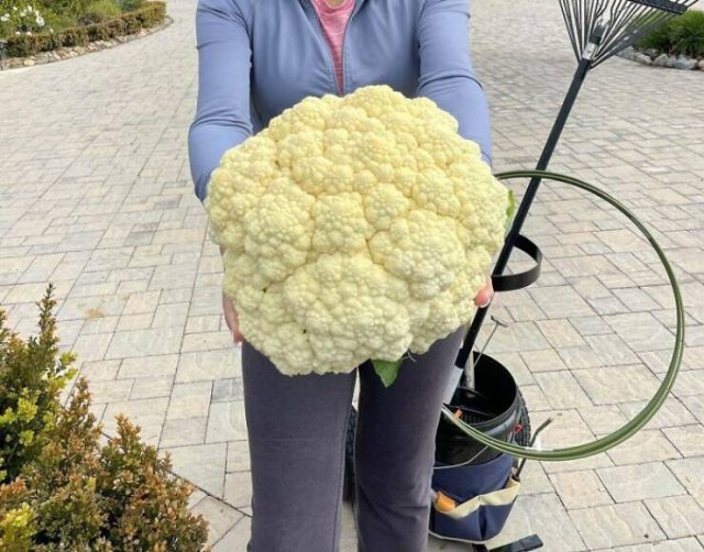 Really Giant Things (22 pics) Really Giant Things (22 pics)