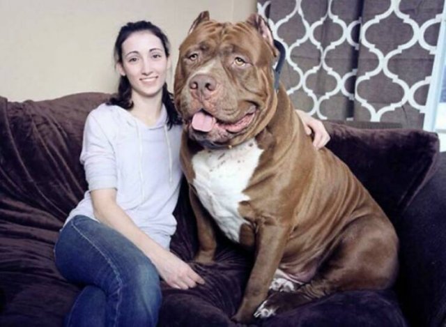 Really Giant Things (22 pics)