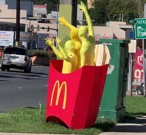 What Is Going On Here? (20 pics)