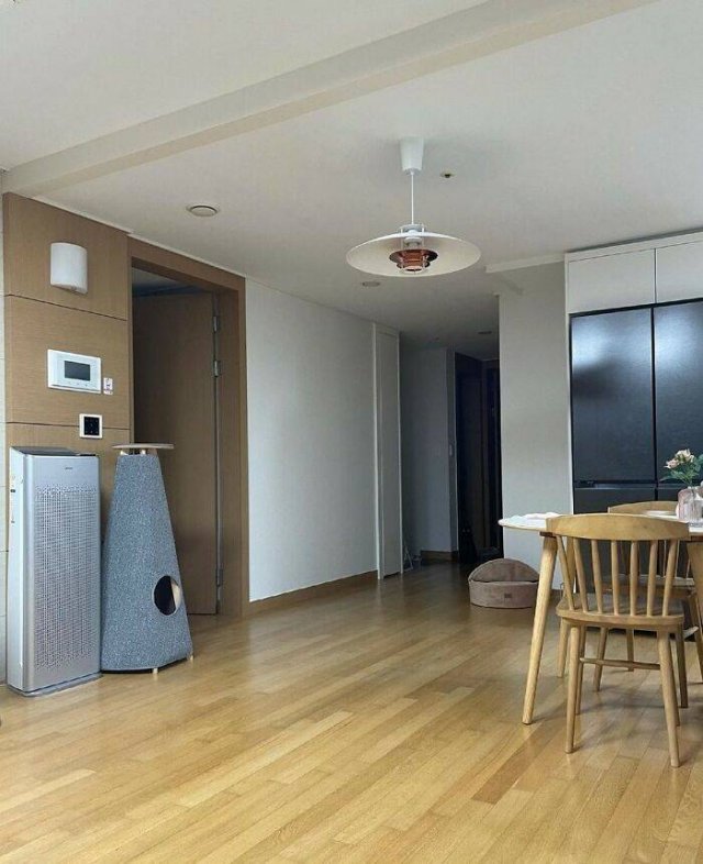 Where Is The Cat? (29 pics)