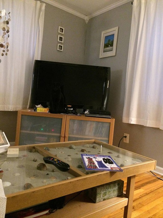 Where Is The Cat? (29 pics)