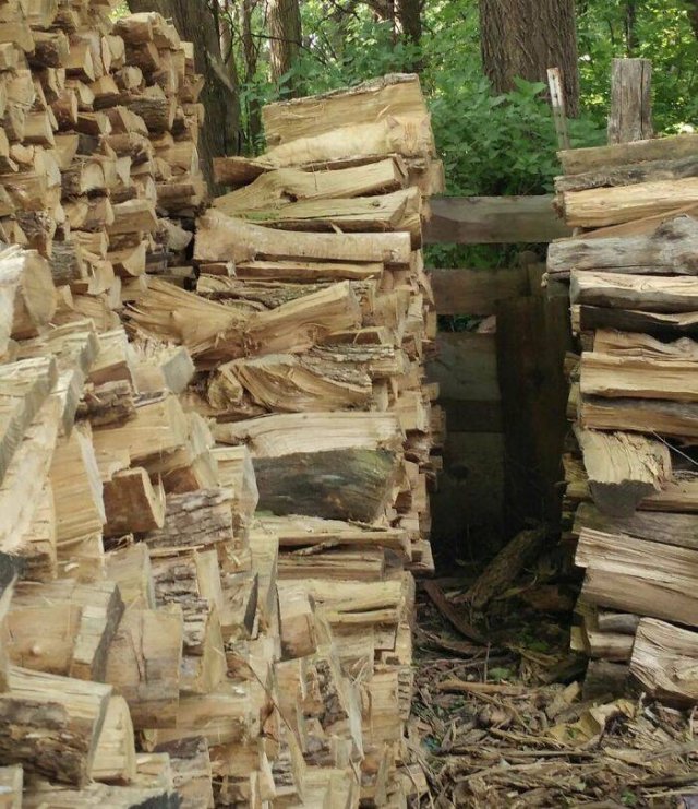 Where Is The Cat? (29 pics)