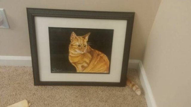 Where Is The Cat? (29 pics)