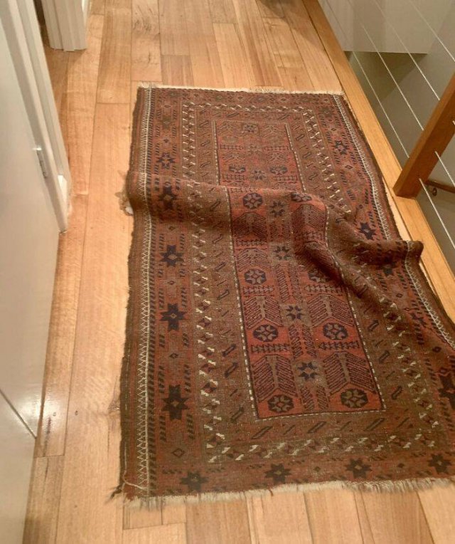 Where Is The Cat? (29 pics)