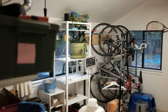 Where Is The Cat? (29 pics)