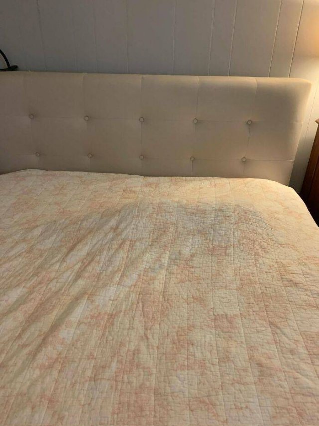 Where Is The Cat? (29 pics)