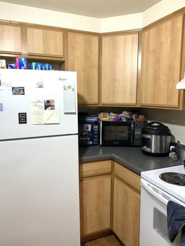 Where Is The Cat? (29 pics)