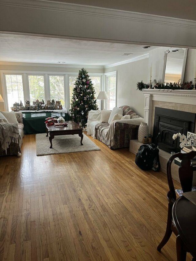 Where Is The Cat? (29 pics)
