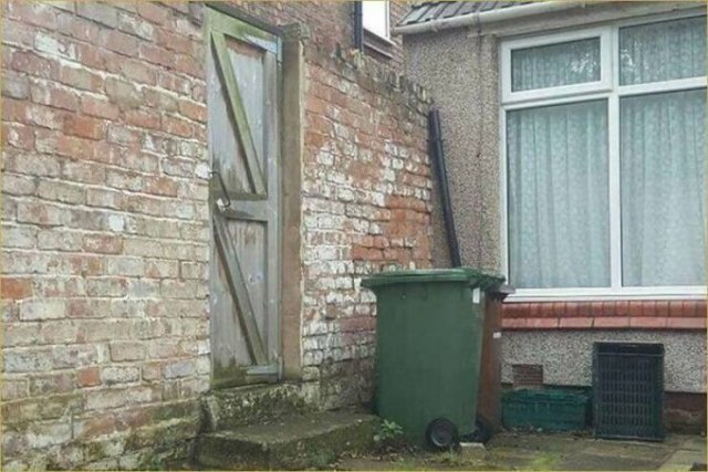 Where Is The Cat? (29 pics)