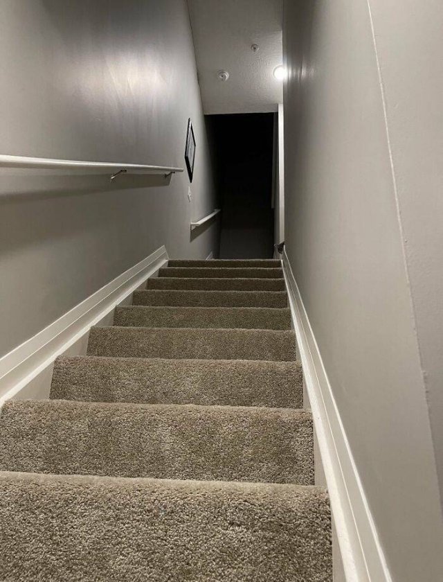 Where Is The Cat? (29 pics)