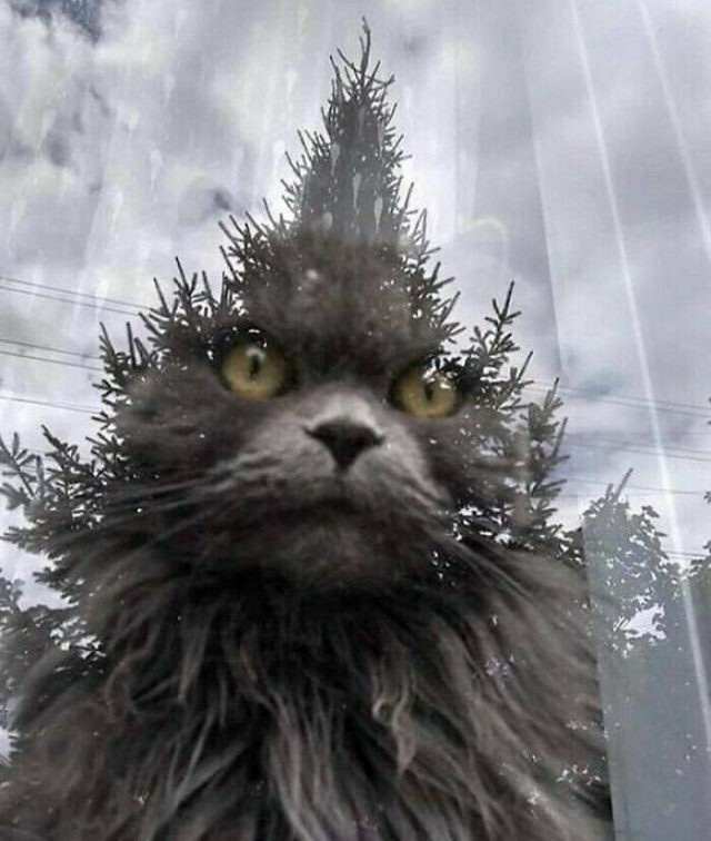 Weird Finds And Situations (22 pics)