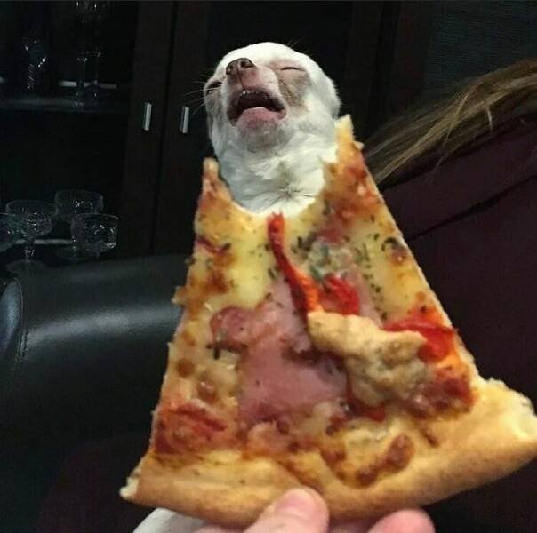 Weird Finds And Situations (22 pics)