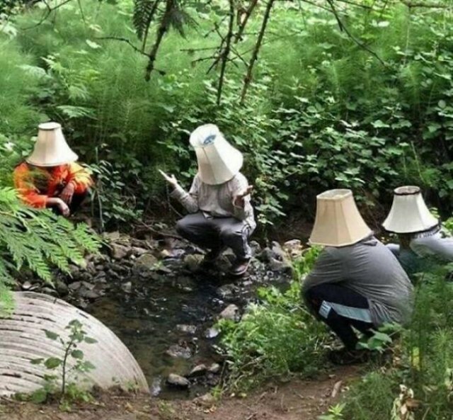 Weird Finds And Situations (22 pics)