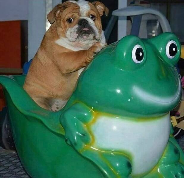 Weird Finds And Situations (22 pics)