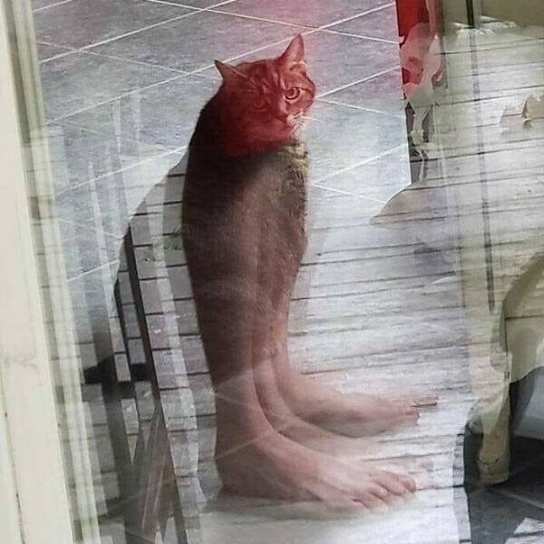 Weird Finds And Situations (22 pics)