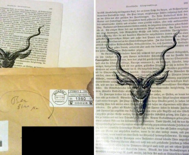 Creepy And Unexpected Packages (22 pics)