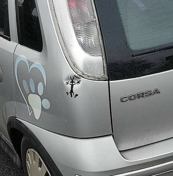 What Is Going On Here? (30 pics)