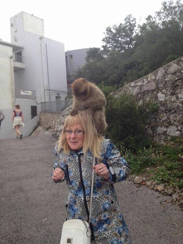Funny Animals (44 pics)