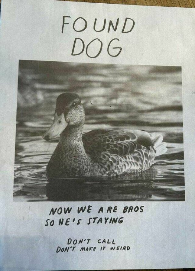 Funny Signs (25 pics)