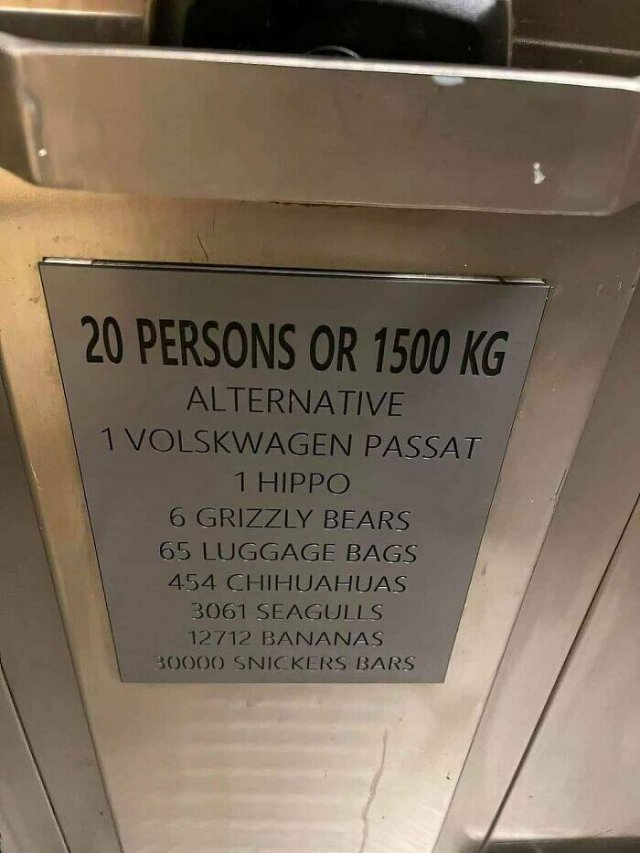 Funny Signs (25 pics)