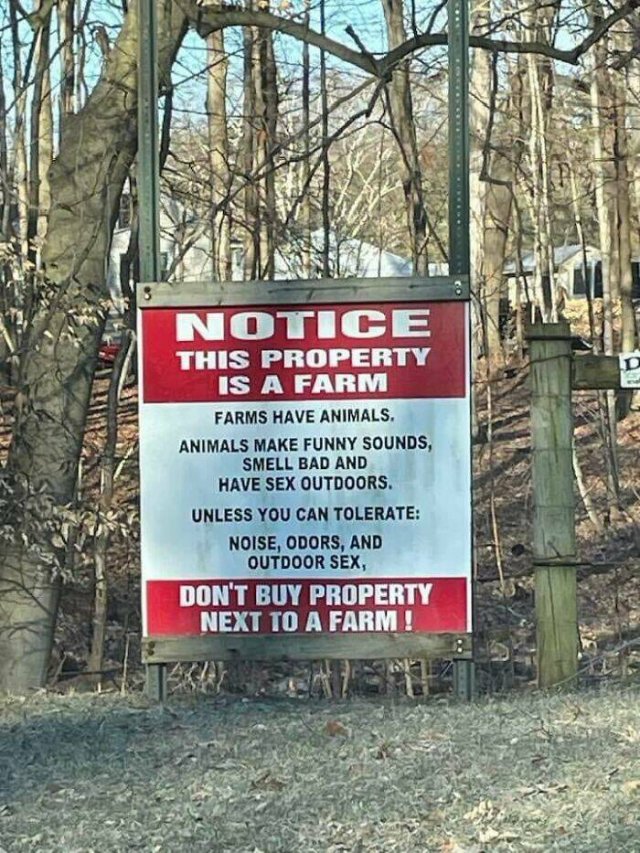 Funny Signs (25 pics)