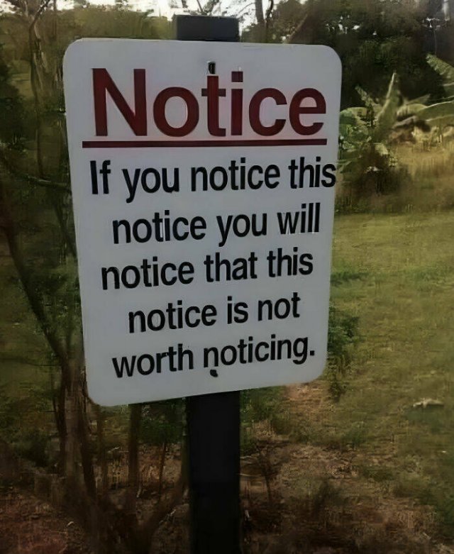 Funny Signs (25 pics)