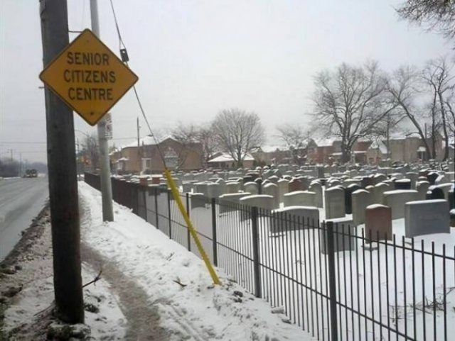 Funny Signs (25 pics)