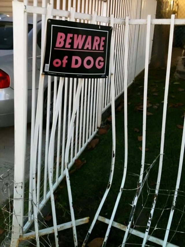 Funny Signs (25 pics)