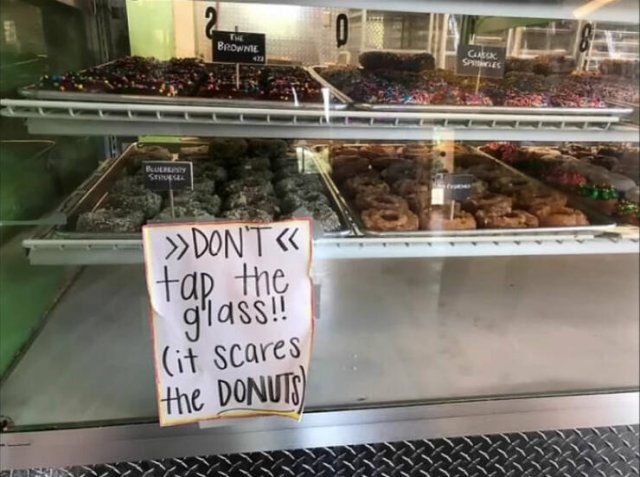 Funny Signs (25 pics)
