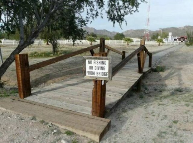 Funny Signs (25 pics)