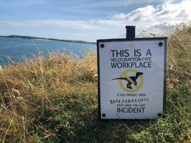 Funny Signs (25 pics)