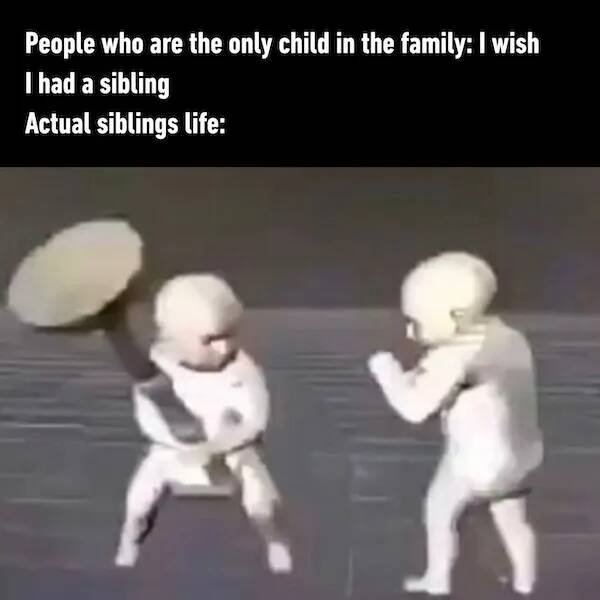 Memes About Siblings (18 pics)