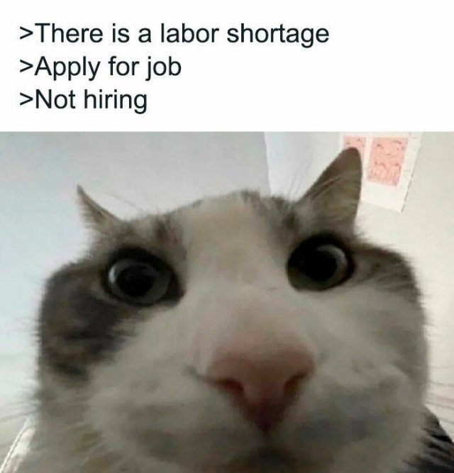 Work Memes (25 pics)