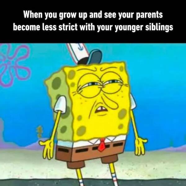 Memes About Siblings (18 pics)