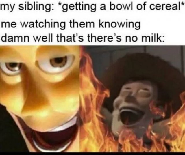 Memes About Siblings (18 pics)