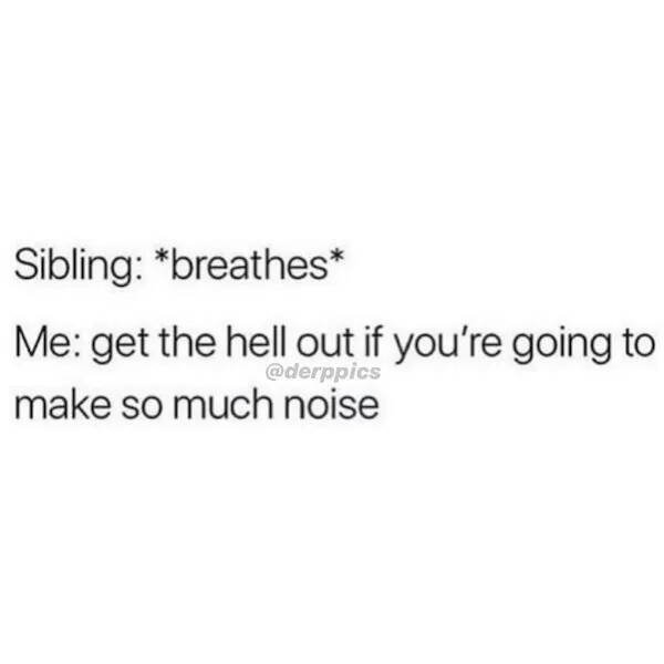 Memes About Siblings (18 pics)