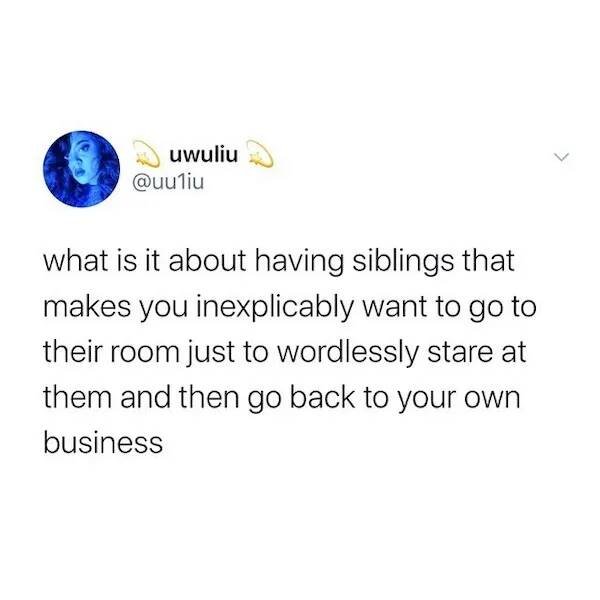 Memes About Siblings (18 pics)