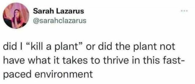 Work Memes (25 pics)
