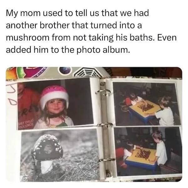 Memes About Siblings (18 pics)