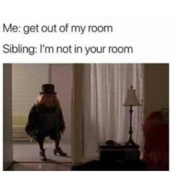 Memes About Siblings (18 pics)