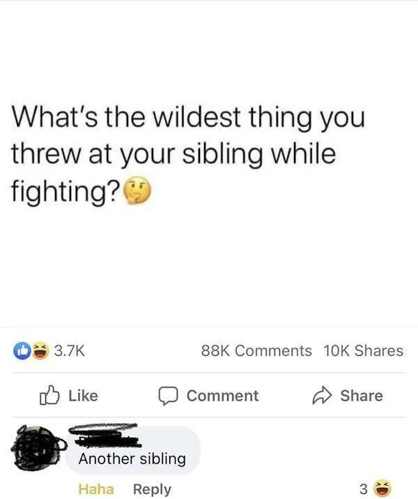 Memes About Siblings (18 pics)
