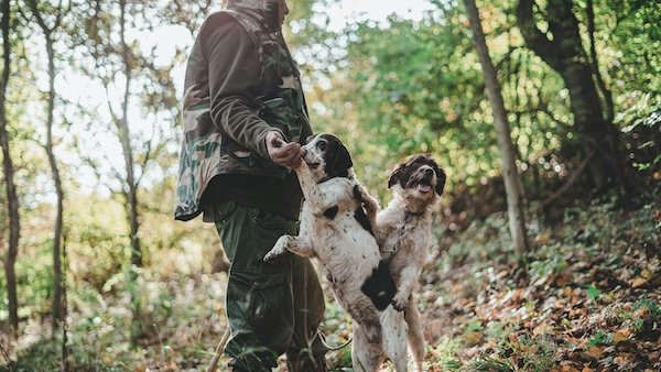 Hunting Photos (23 pics)