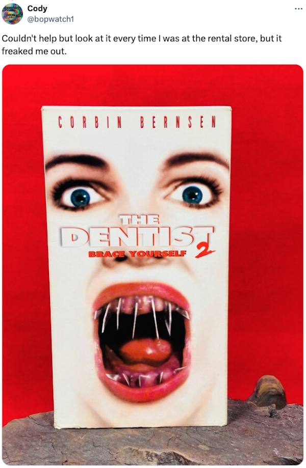 Scary Video Box Covers From The Past (20 pics)