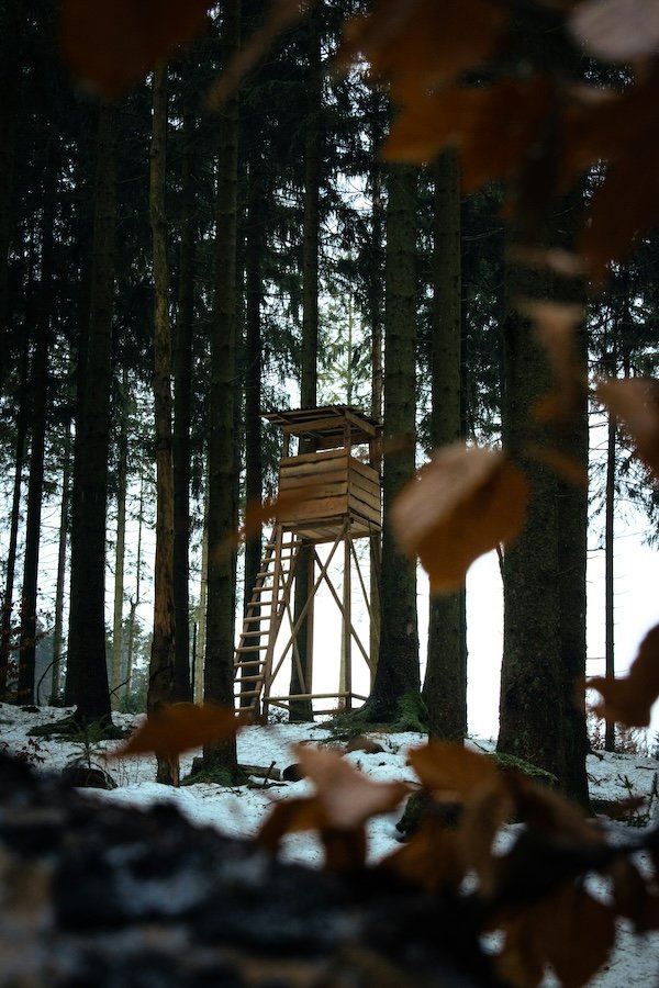 Hunting Photos (23 pics)