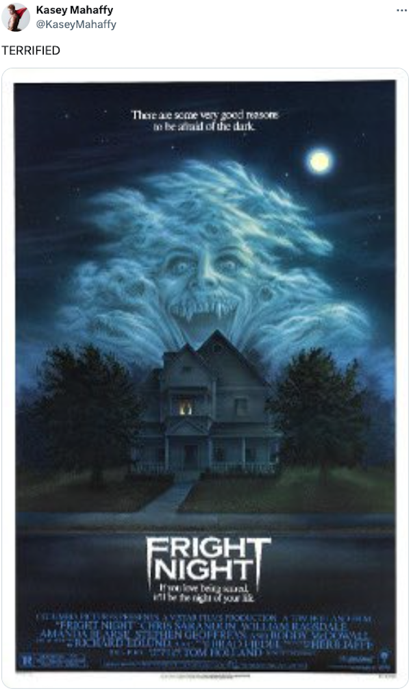 Scary Video Box Covers From The Past (20 pics)