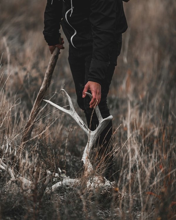 Hunting Photos (23 pics)